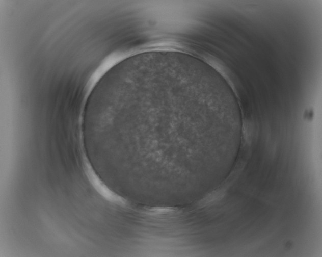 X0000112511482200908311321