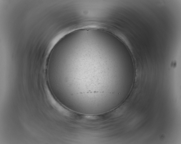 X0000112511483200908311321