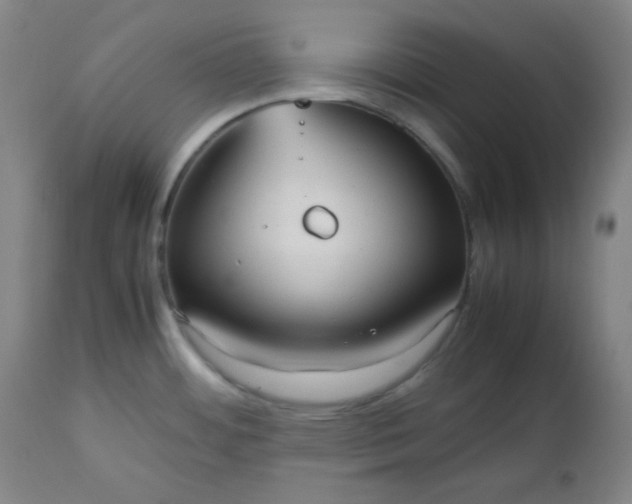 X0000112511484200908311320