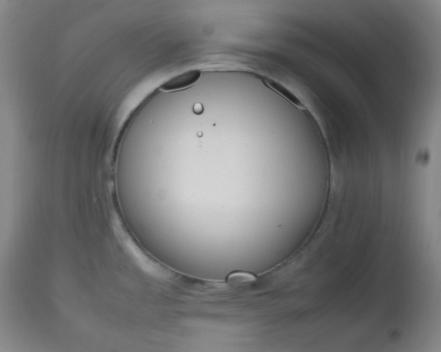 X0000112511485200908311320