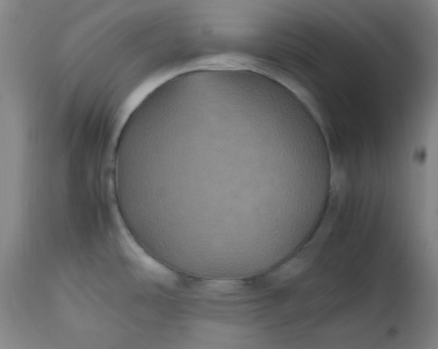 X0000112511486200908311320