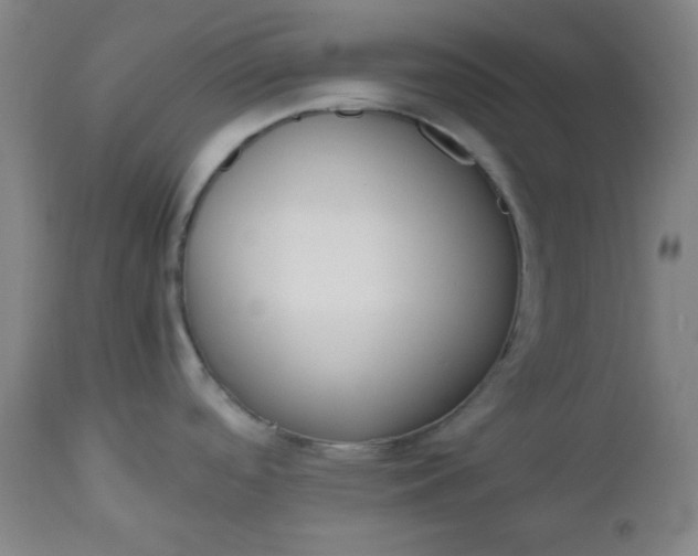 X0000112511488200908311320