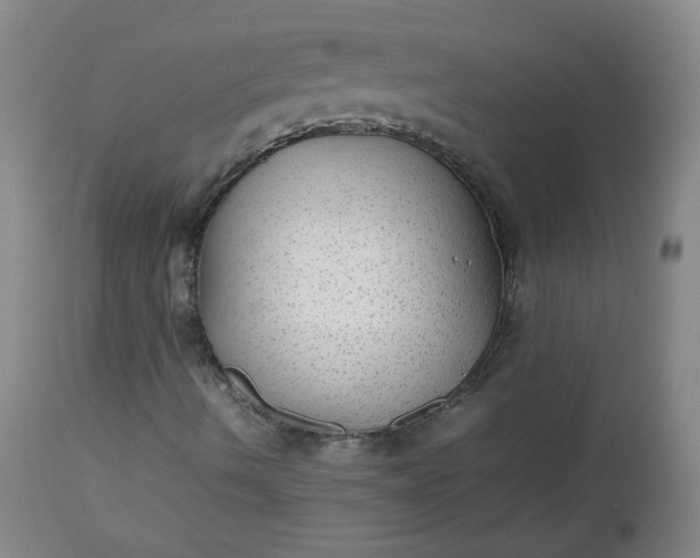 X0000112511490200908311320