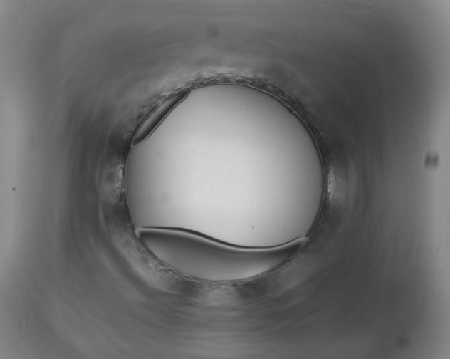 X0000112511492200908311320