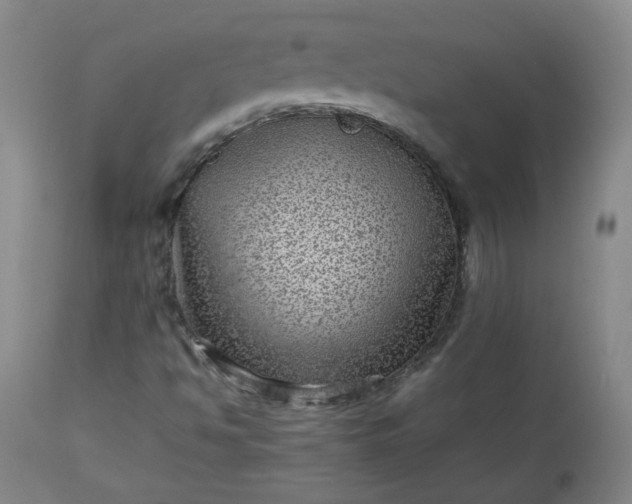 X0000112511494200908311320