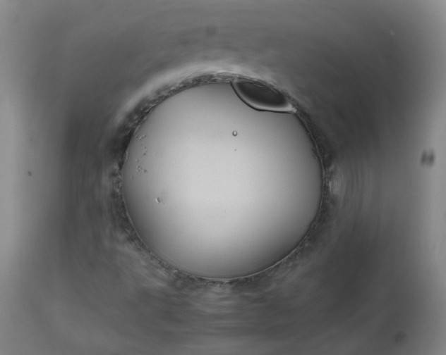 X0000112511495200908311320