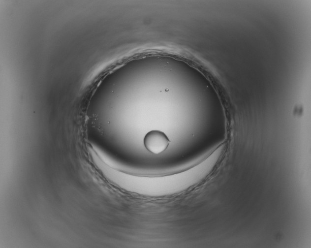 X0000112511496200908311320