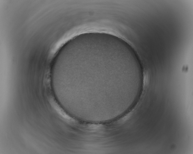 X0000112511498200908311320