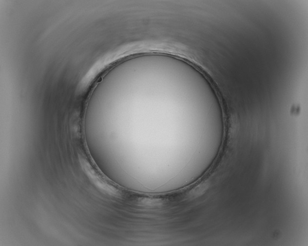 X0000112511499200908311320