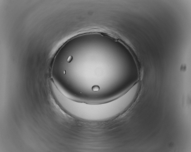 X0000112511500200908311320