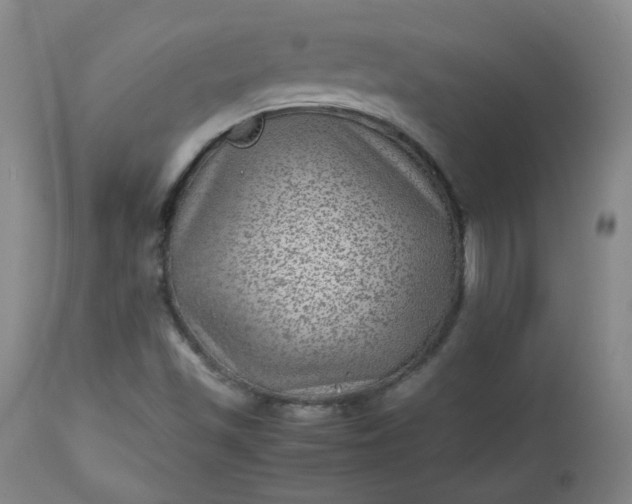 X0000112511501200908311320