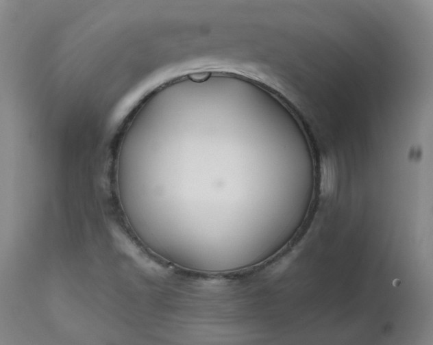 X0000112511502200908311320