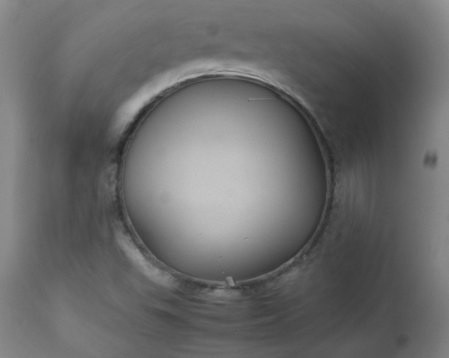 X0000112511503200908311320