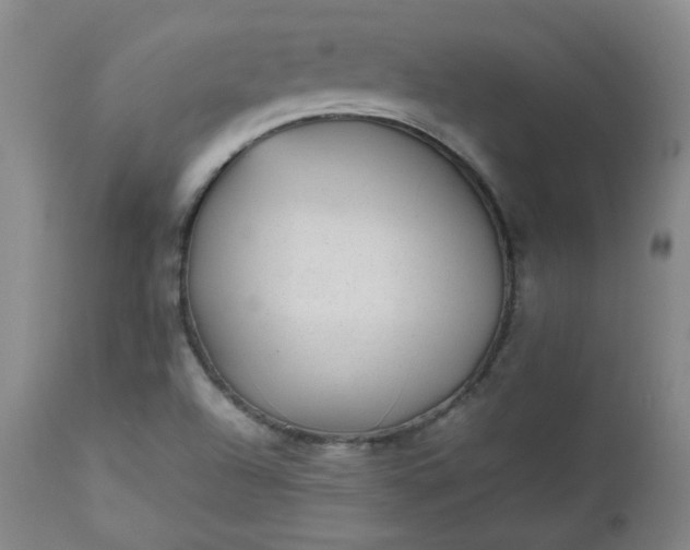 X0000112511504200908311320