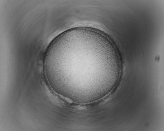 X0000112511505200908311320