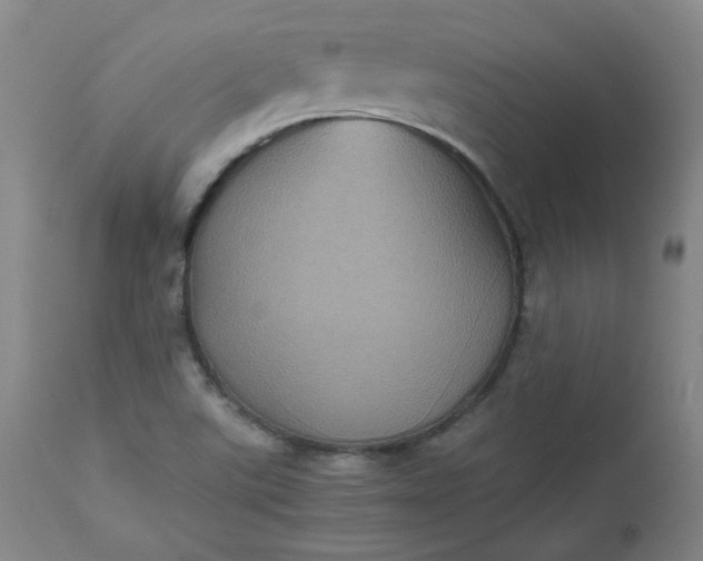 X0000112511507200908311320