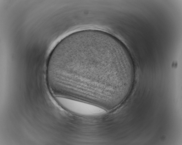 X0000112511508200908311320