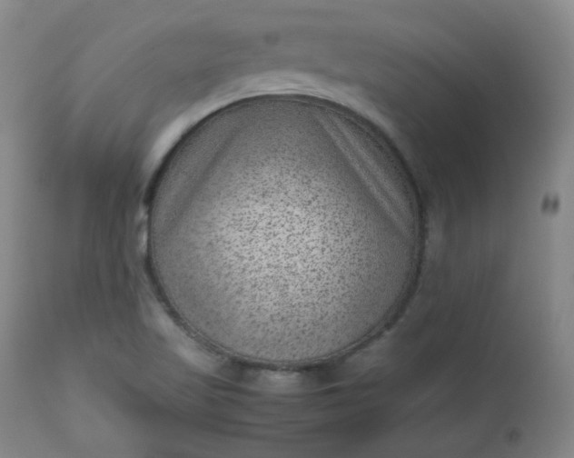 X0000112511509200908311320