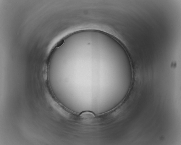 X0000112511510200908311320