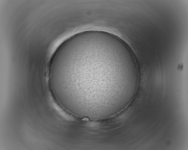 X0000112511511200908311320