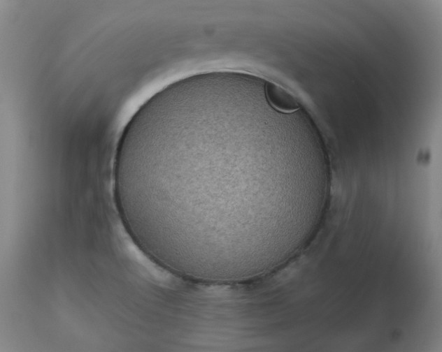 X0000112511512200908311320