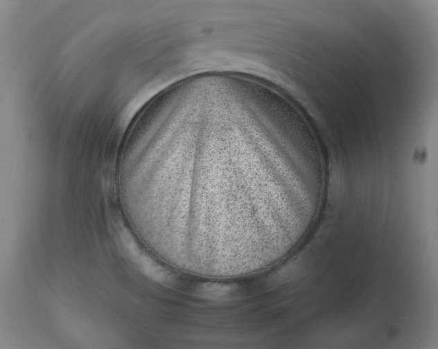 X0000112511513200908311320