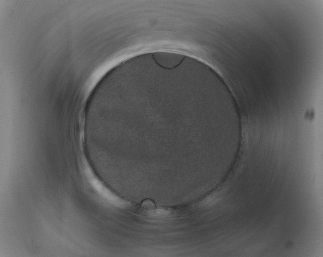 X0000112511515200908311320