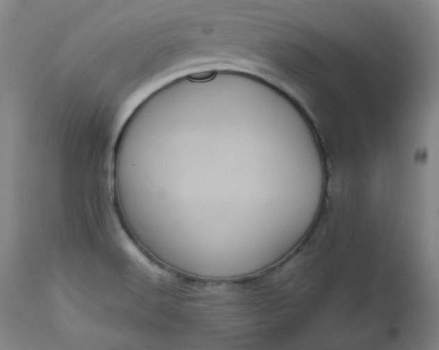 X0000112511516200908311320