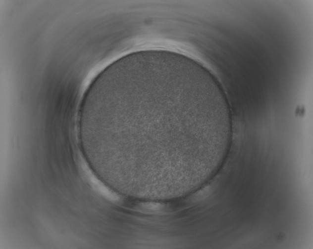 X0000112511517200908311320