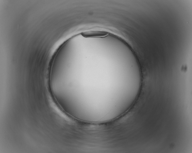 X0000112511518200908311320