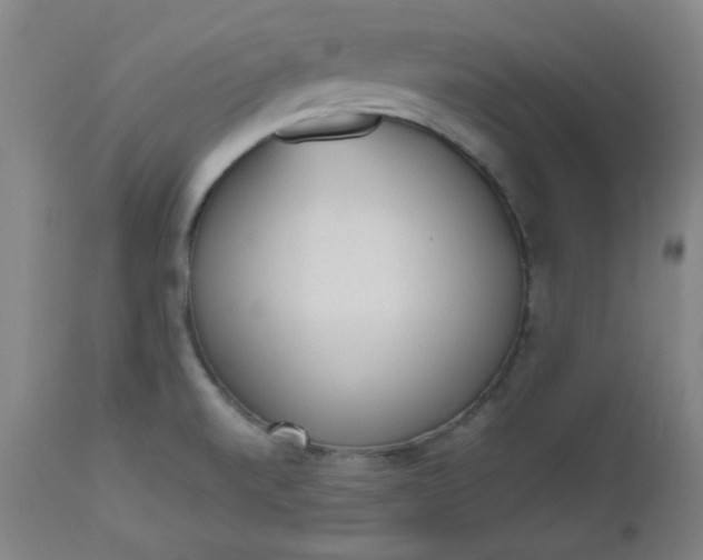 X0000112511520200908311320