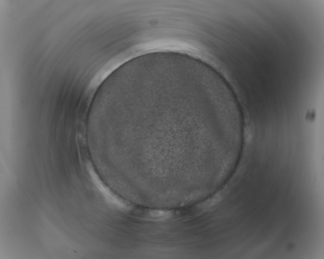 X0000112511521200908311320