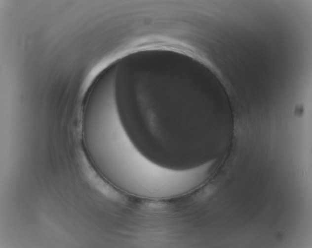 X0000112511522200908311320