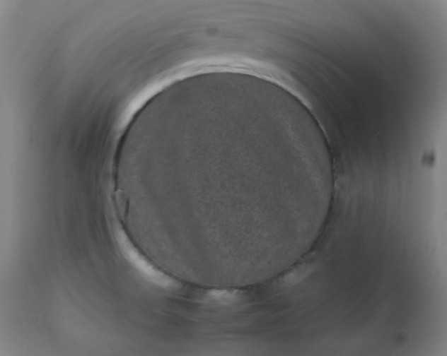 X0000112511523200908311320