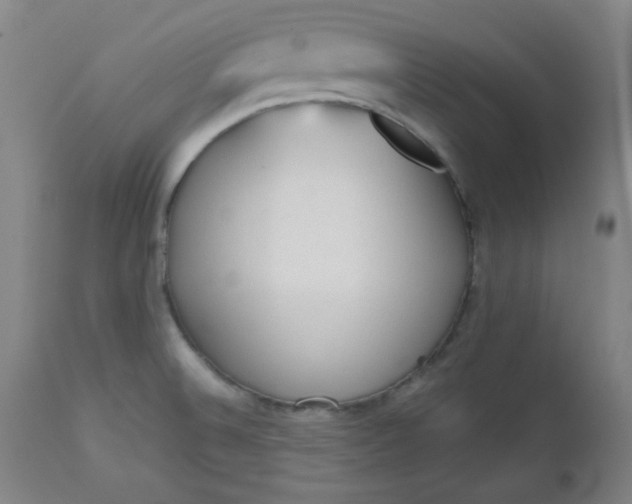 X0000112511524200908311320