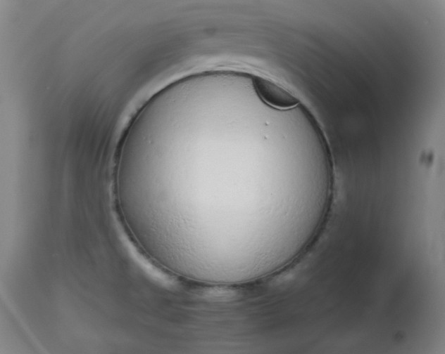 X0000112511525200908311320