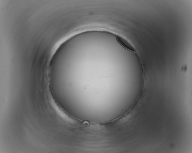 X0000112511526200908311320