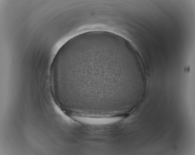 X0000112511527200908311320