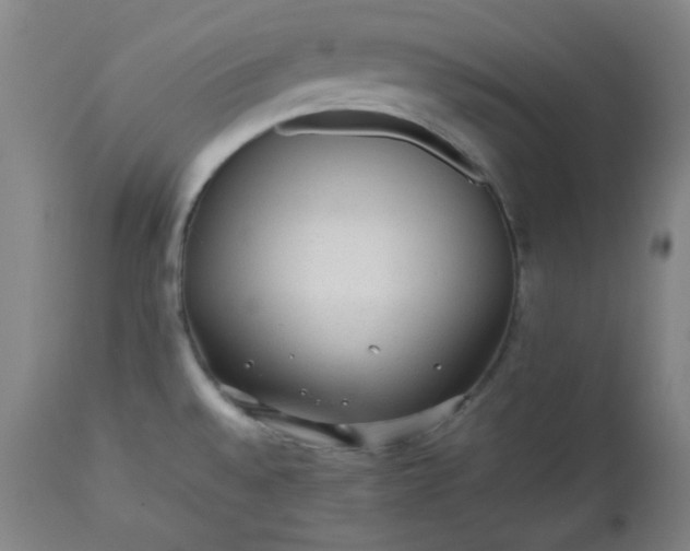 X0000112511528200908311320