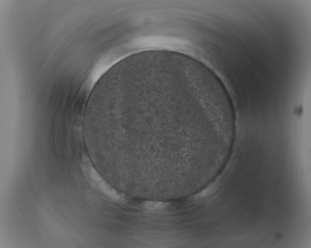 X0000112511529200908311320