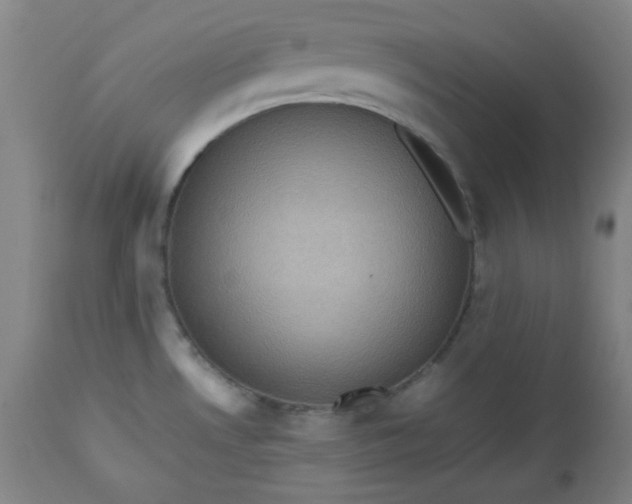 X0000112511530200908311320