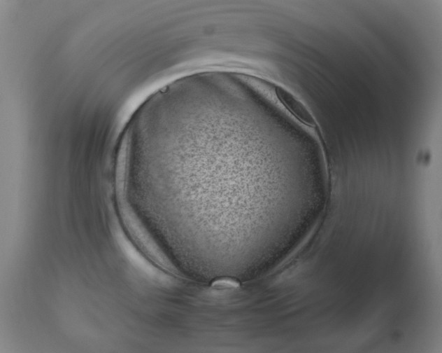 X0000112511531200908311320