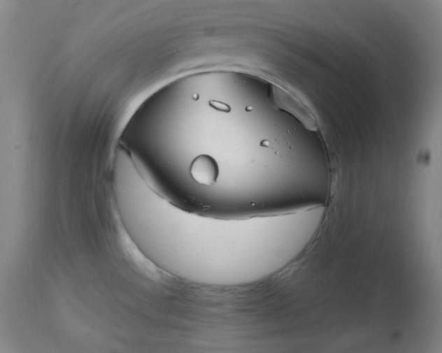 X0000112511532200908311320