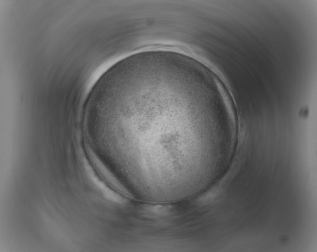 X0000112511533200908311320