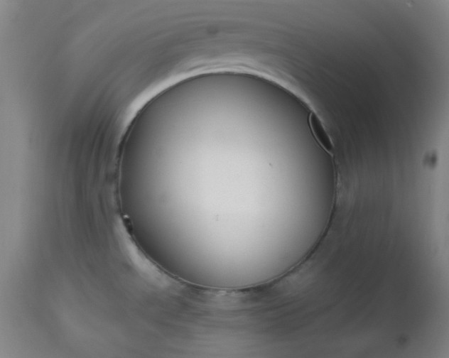 X0000112511534200908311320