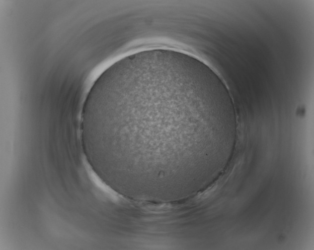 X0000112511535200908311320