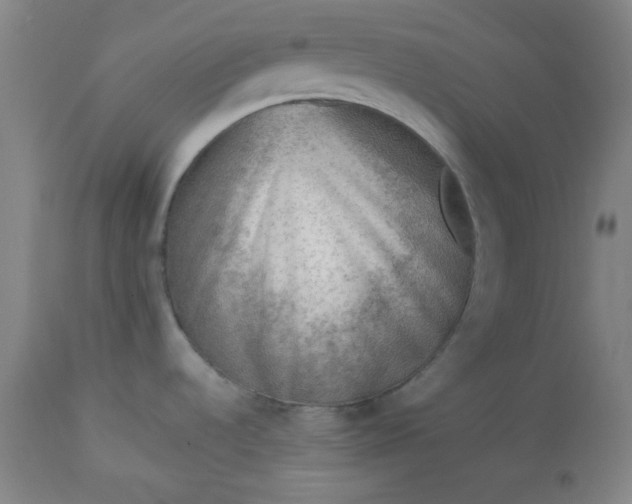 X0000112511536200908311320