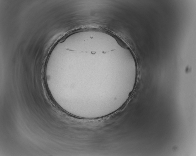 X0000112510001200909071319