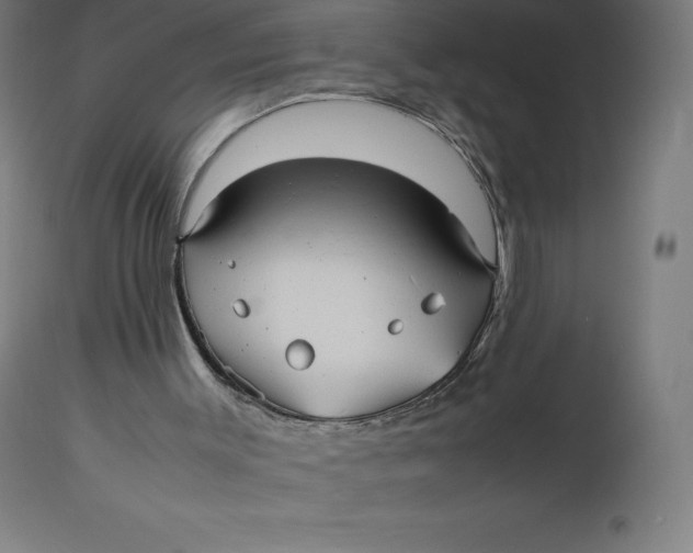 X0000112510003200909071319