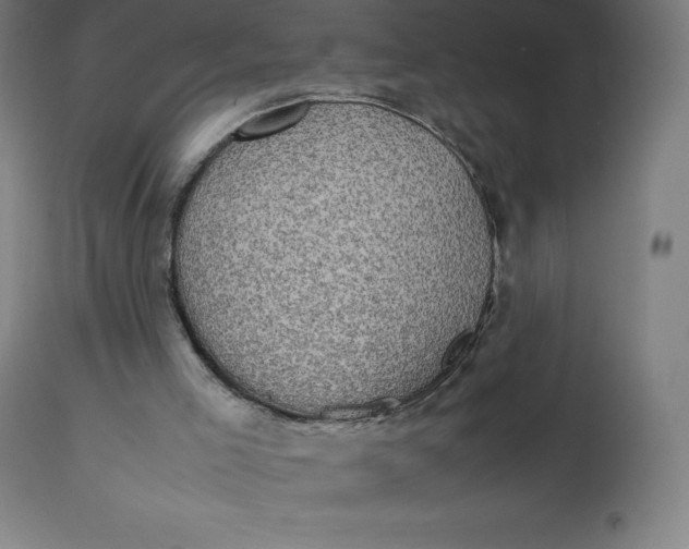 X0000112510005200909071319